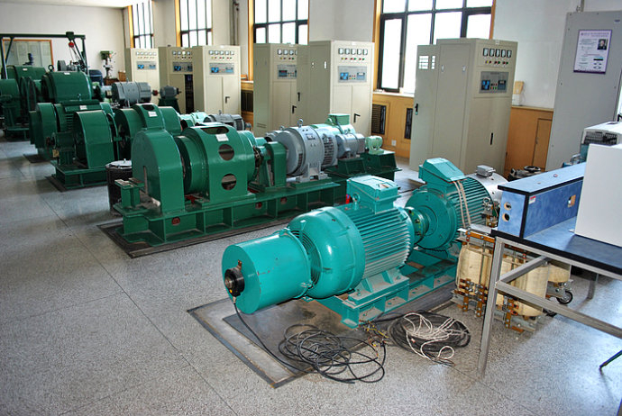 国营南阳农场某热电厂使用我厂的YKK高压电机提供动力